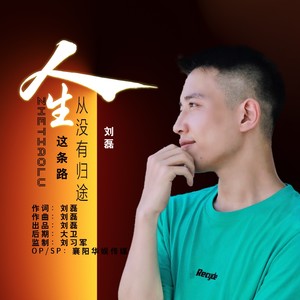 刘磊 - 人生这条路从没有归途