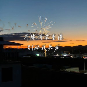 别动我头发 - 他们说月亮代表思念