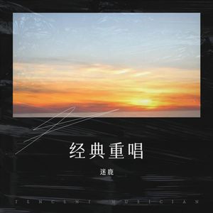 相对湿度-迷鹿