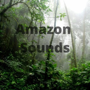 Amazon Sounds