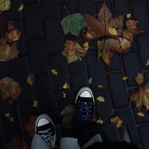 造物-BlackArctic王北極