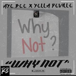 WHY NOT (feat. Yella Deville) (Explicit)