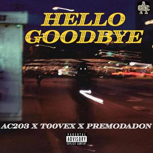 Hello Goodbye (feat. T00Vex & Premo Da Don) [Explicit]