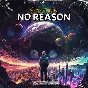 NO REASON (Explicit)