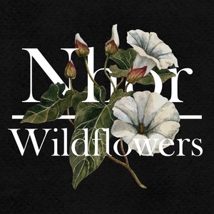 Wildflowers: Summer