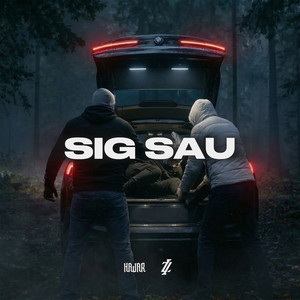 Sig Sau