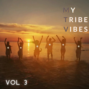 My Tribe Vibes, Vol. 3