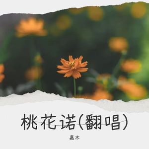 桃花诺  (Live)
