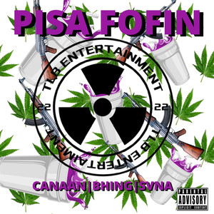 PISA FOFIN (Explicit)