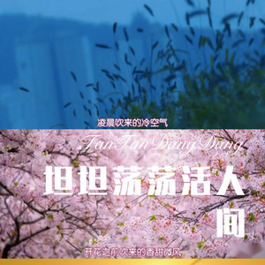 意大利极品慢摇 (Remix)