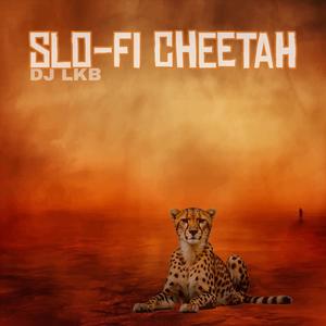 sLo-Fi Cheetah