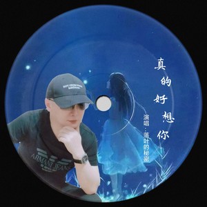 真的好想你 (深情版)封面