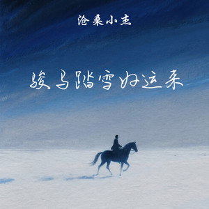 骏马踏雪好运来 - 沧桑小杰封面