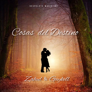 Cosas del Destino (Cover)