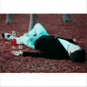 让雪花带走我的思念