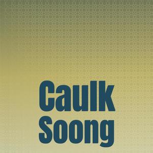 Caulk Soong