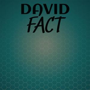 David Fact