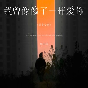 我曾像傻子一样爱你 (温柔女版)