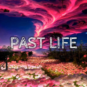 Past Life (Please Red)
