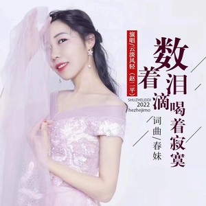 数着泪滴喝着寂寞