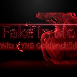 Fake In Me (Explicit)