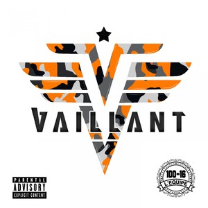 Vaillant