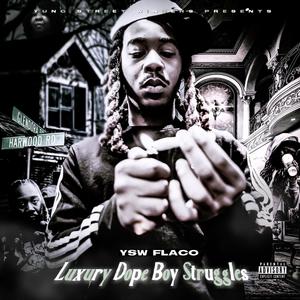 Luxury **** Boy Struggles (Explicit)