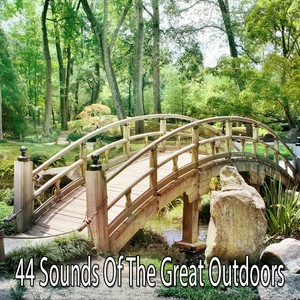 44 Sounds Of The Great Outdoors