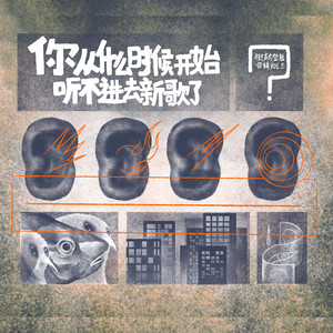 把曲线还给上帝 2024封面