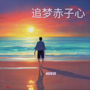 追梦赤子心-林良冠