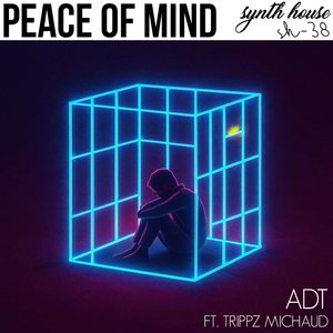 Peace of Mind feat. Trippz Michaud