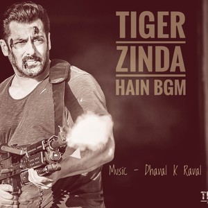 Tiger Zinda Hain Background Music