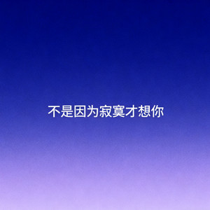 不是因为寂寞才想你 (摇滚版)