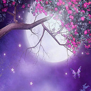 Delusional (feat. Vette Rey) (Explicit)