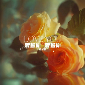 爱着你爱着你 (DJ光波版)