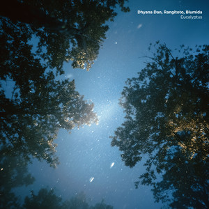 Eucalyptus (Ambient Version)