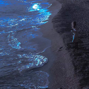 你走 (remix: 李宗锦)