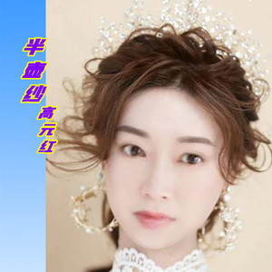 半壶纱