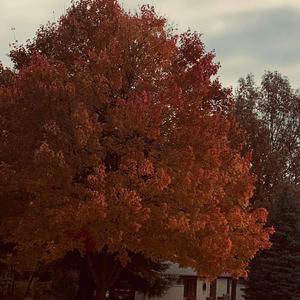 gasping 444 air (Explicit)