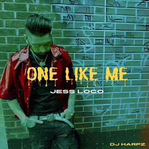 One Like Me (feat. DJ Harpz)