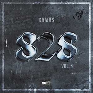 828, Vol. 4 (Explicit)