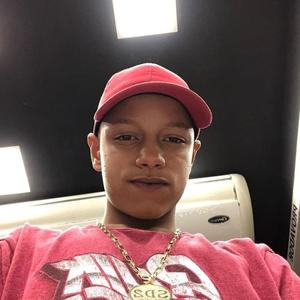 Rebolando Ela Meche (Remix)