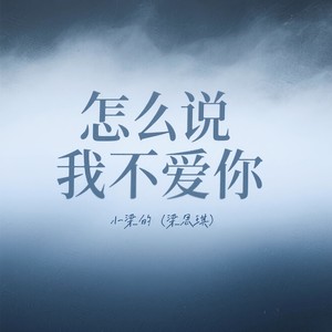 怎么说我不爱你-小梁的（梁思琪）