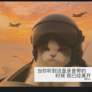 好听旋律 (Remix)