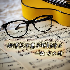 旋律在你离开那刻停止  致方大同