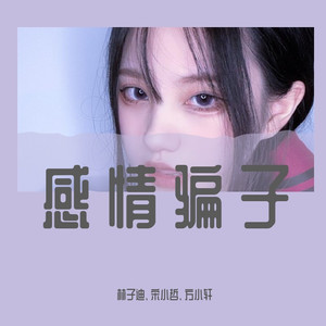 感情骗子 (DJ诗琦版)