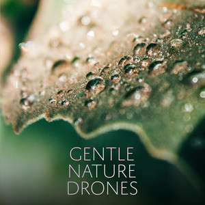 Gentle Nature Drones