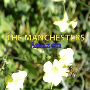 Amazon (feat. Matt Howden)