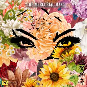 Twenty-Nine Rotations (feat. Spaceman Apollo) (Explicit)