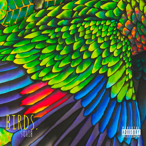 Birds (Explicit)